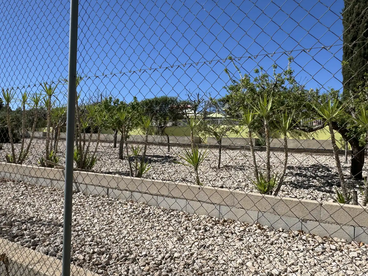 Casa o xalet en venda a Calle Santa Isabel, Cehegín