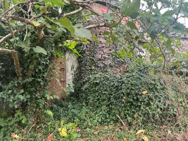 Country homes for sale in Vegadeo  with Heating, Terrace and Storage room