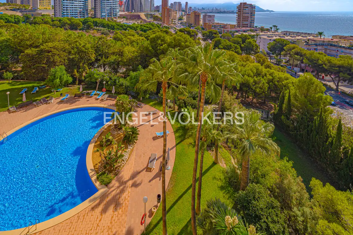 Flat with pool for sale in Avinguda Marina Baixa 8, imagen 24
