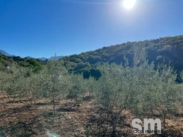 Terreni e lotti in vendita a Benaocaz, imagen 12