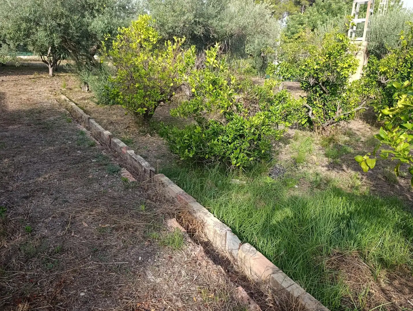 Villa con piscina in vendita a Sant Josep - Zona Hospital, imagen 32
