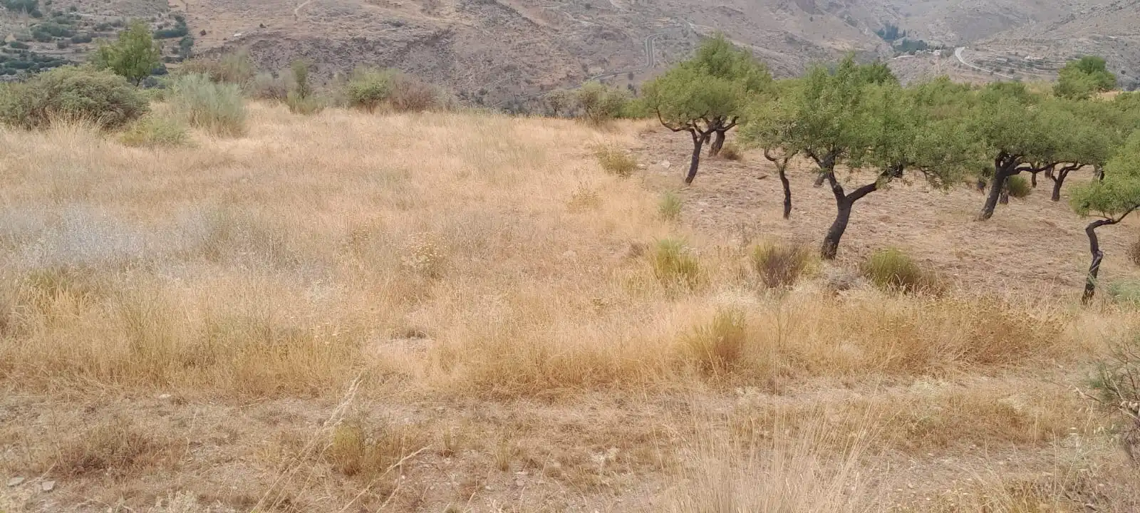 Terreno en venta en Bacares