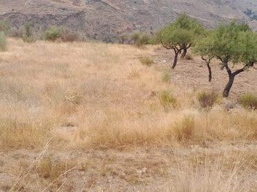 Terreno rustico in vendita a Calle Ladera