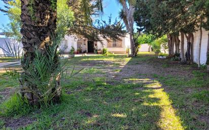 Jardí de Casa o xalet en venda en Chiclana de la Frontera amb Jardí privat