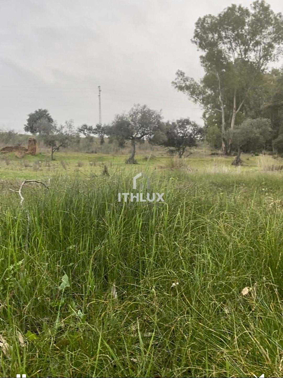 Land for sale in Badajoz Capital