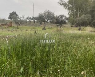 Land for sale in Badajoz Capital