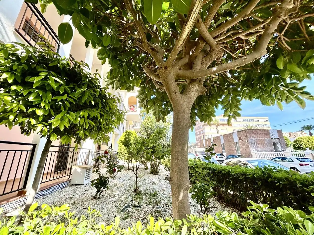 Vista exterior de Apartament en venda en Torrevieja