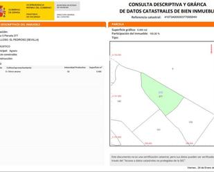 Land for sale in El Pedroso