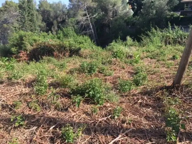 Wohnbaugrundstück zum Verkauf in El Racó - Sant Feliu del Racó, imagen 9