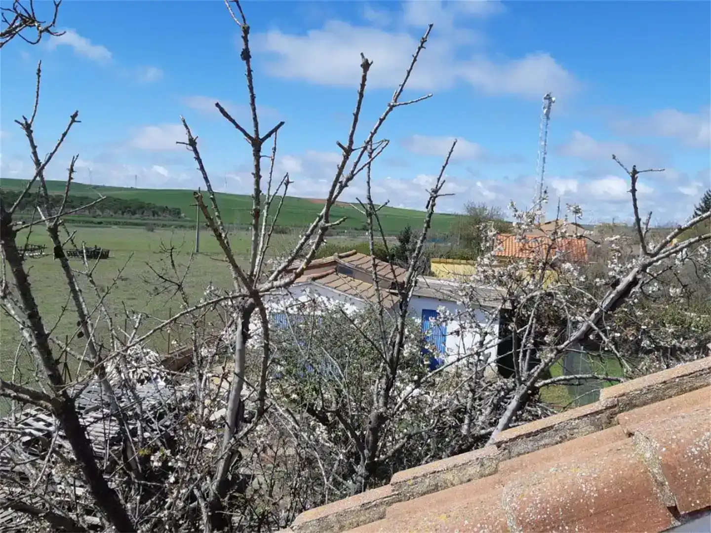 Casa o xalet en venda en Becerril de Campos, Palencia