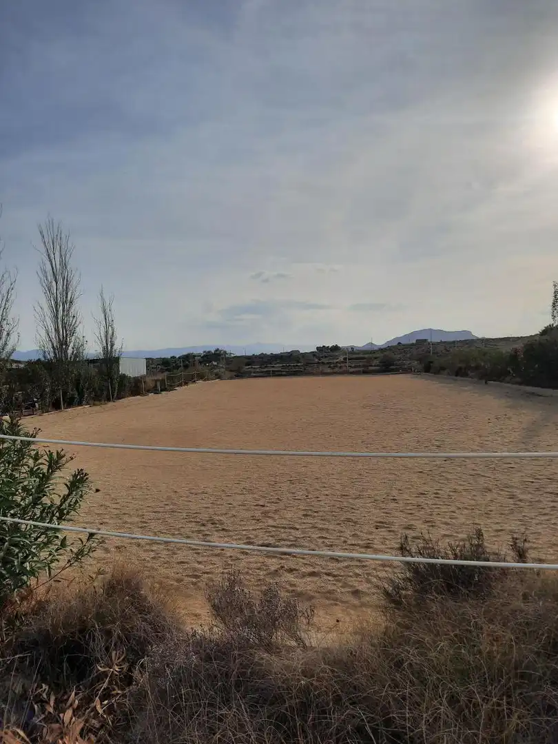 Country homes for rent in Huércal-Overa