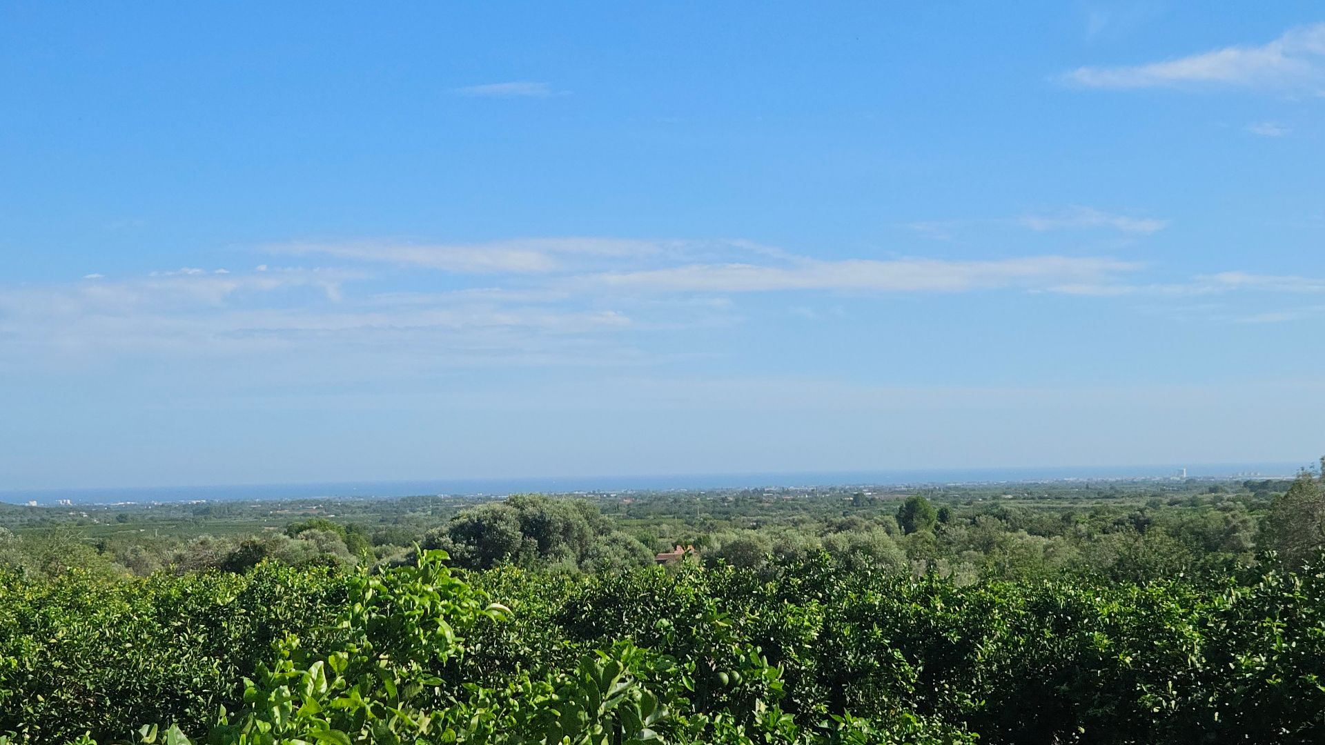 Land for sale in Càlig