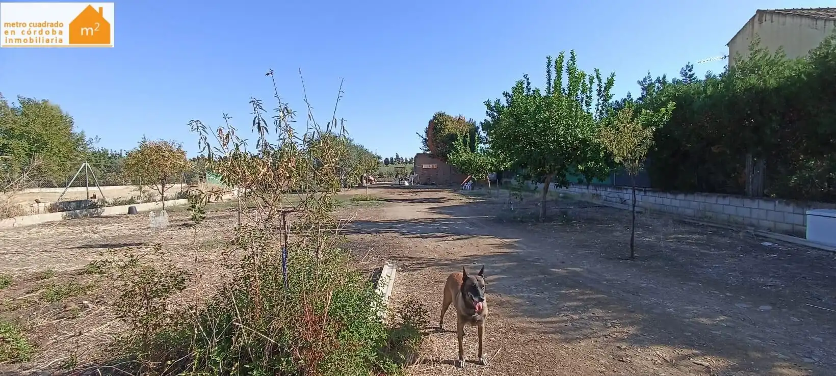 Terreny residencial en venda a La Carlota, imagen 10