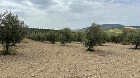 Foto 3 de Residencial en venta en De la Doctora, Alameda, Málaga