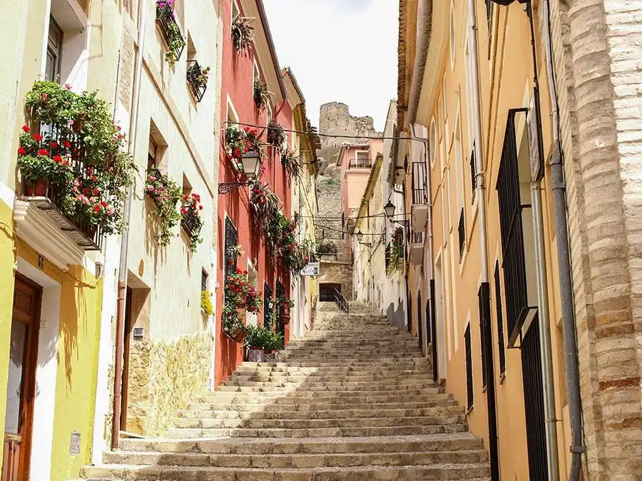 Terreno rústico en venta en Biar, imagen 22
