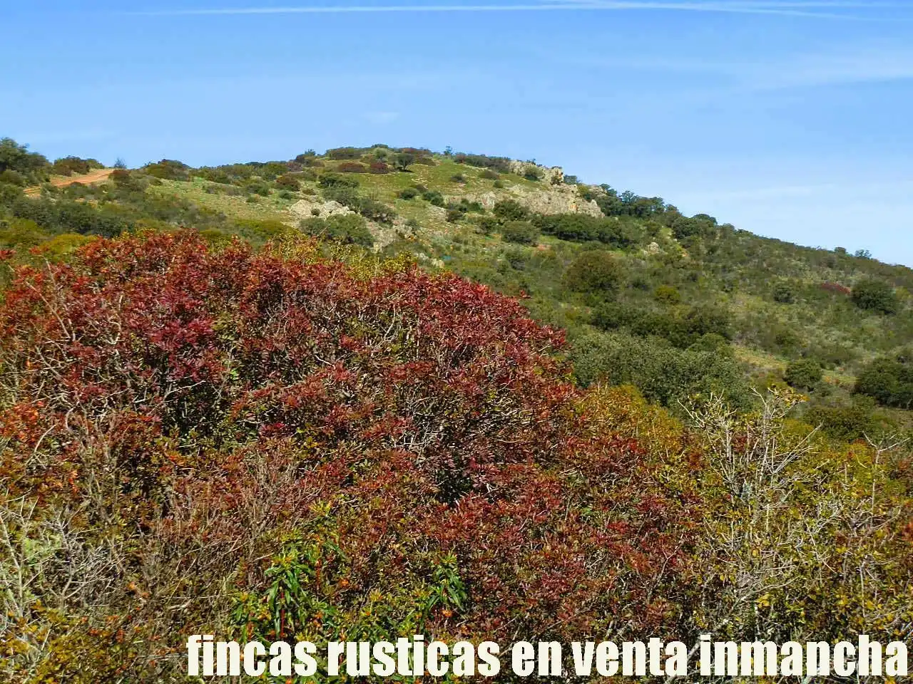 Terreno rustico in vendita a Aldea del Rey, imagen 12