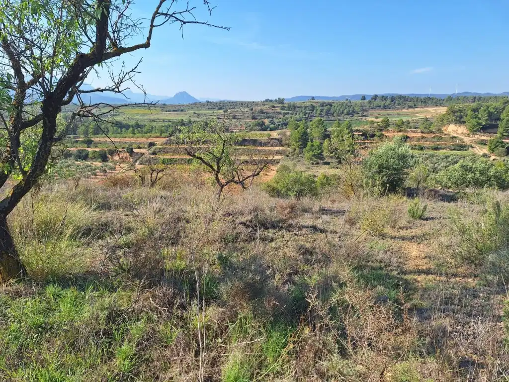 Country house with garden for sale in Bot, imagen 2