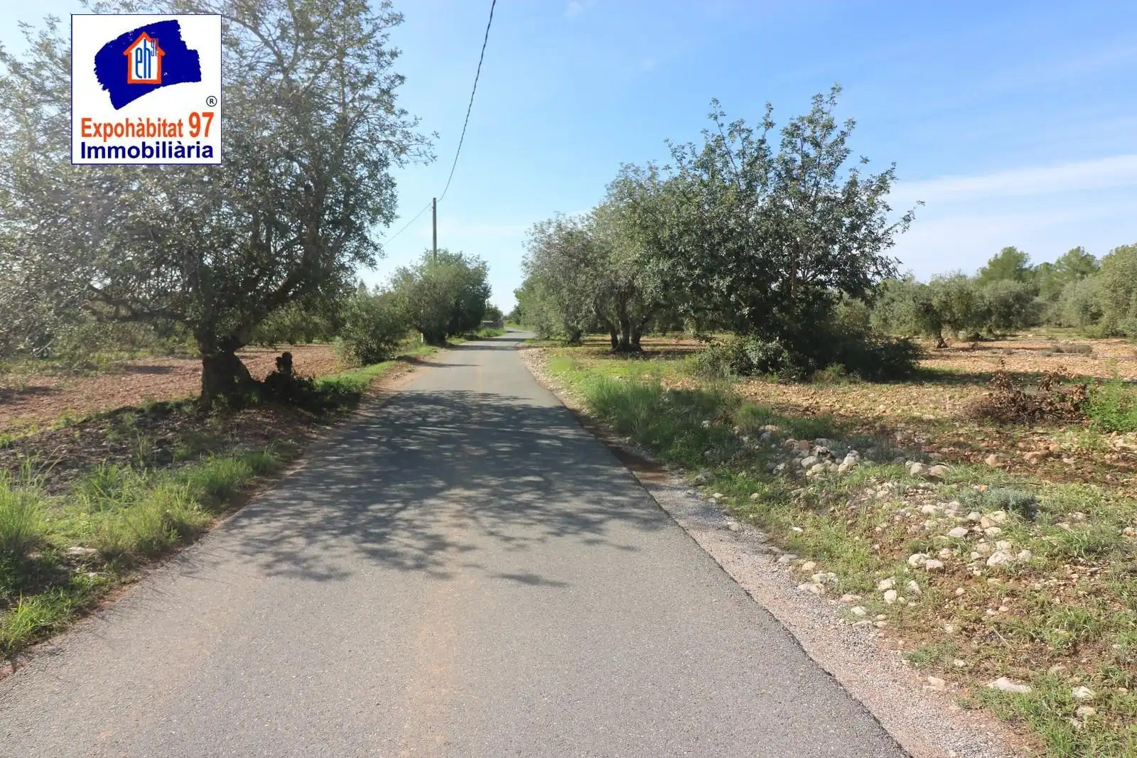 Lands and plots for sale in Carrer Partida Tarrès, imagen 8