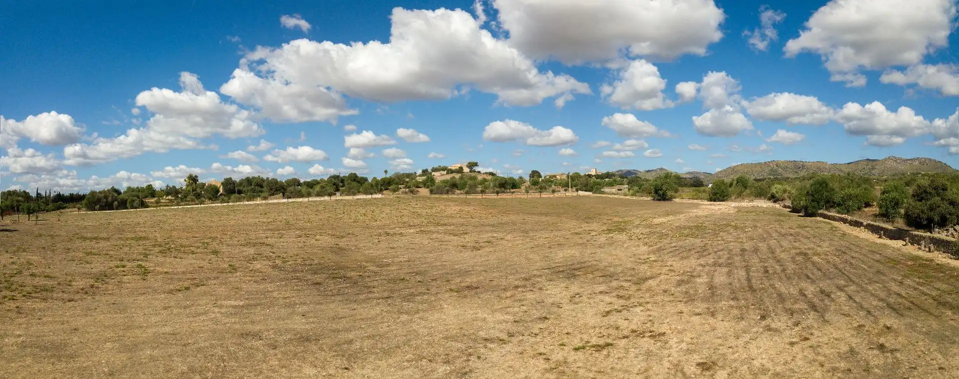 Rural land for sale in Son Vives, imagen 17