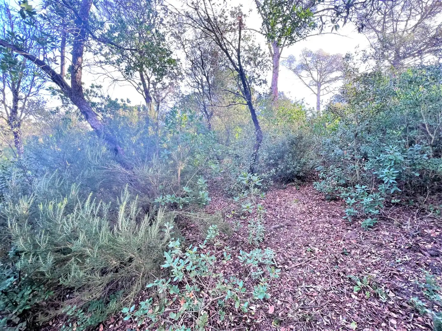 Terreno residencial en venta en Carrer Torrent del Llort 35, imagen 3