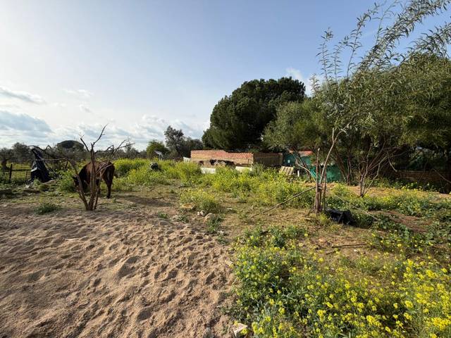 Terreno residencial en Venta en Consolación
