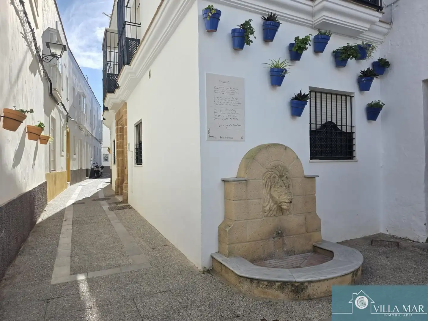 Maison à vendre à Centro - La Costilla