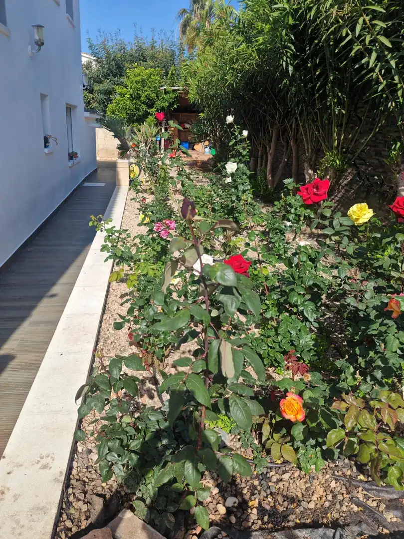 Jardí de Casa o xalet en venda en Calpe / Calp amb Aire condicionat, Calefacció i Jardí privat