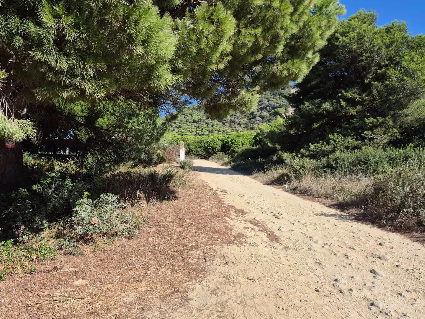 Terreno rustico in vendita a Los Caños de Meca, imagen 9