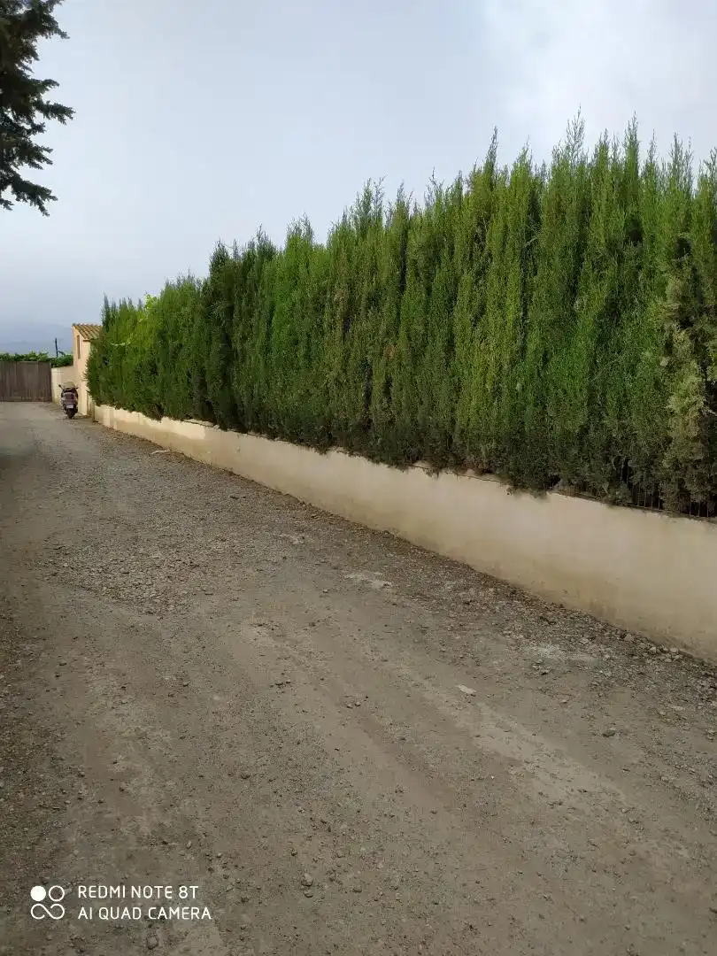 Vista exterior de Finca rústica en venda en  Granada Capital