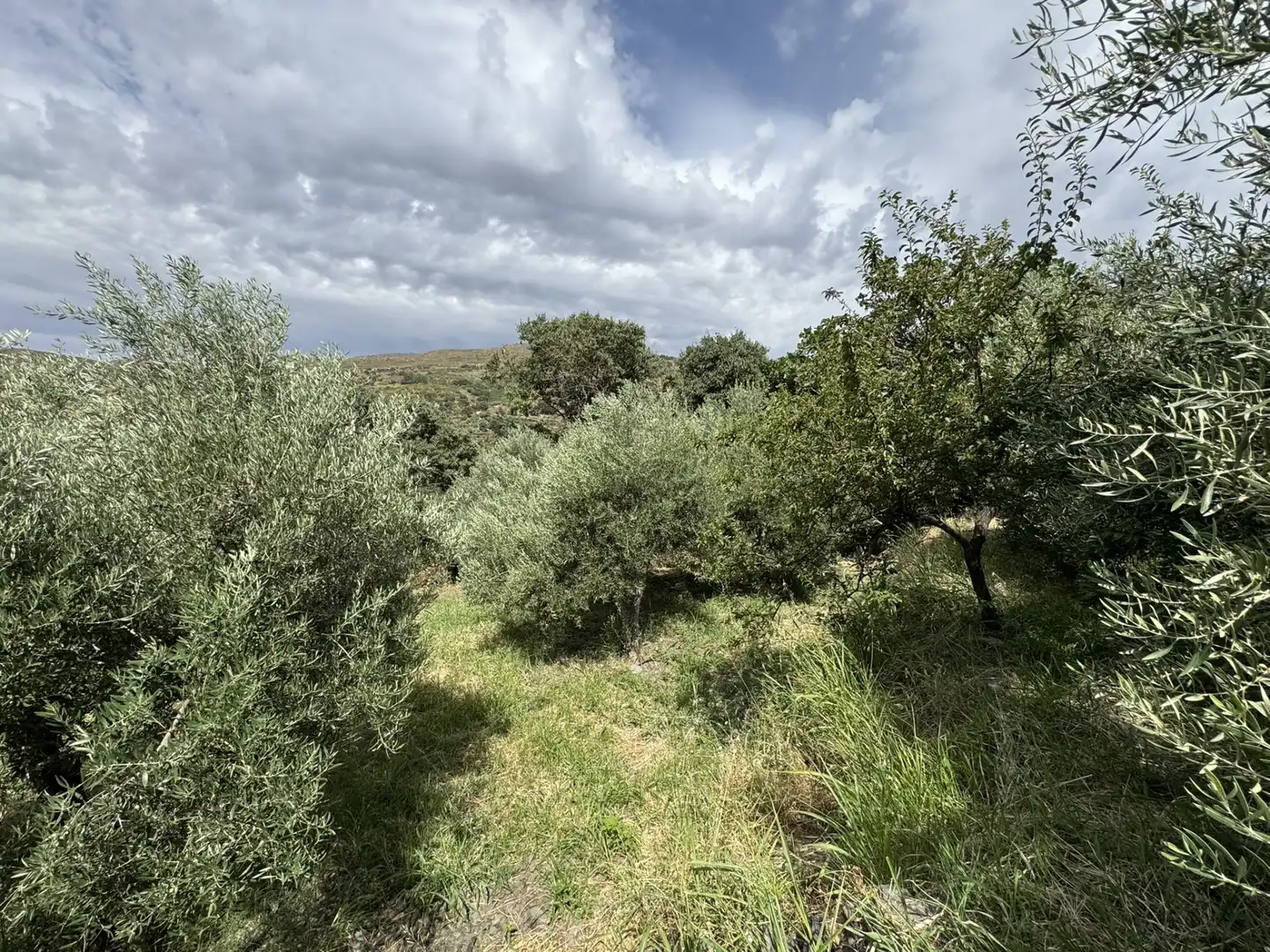 Terreny en venda en Ohanes