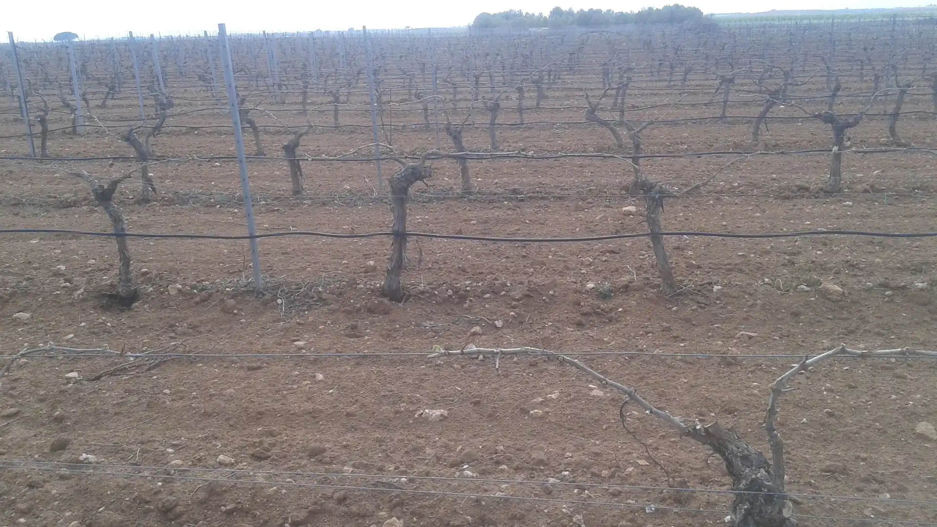 Terrenys i solars en venda a Las Mesas, imagen 19