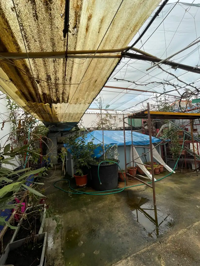 Casa rústica amb piscina en venda a Calle Méjico 1, imagen 24