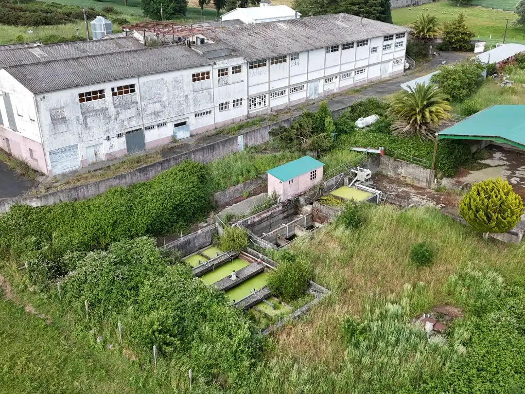 Exterior view of Commercial properties for sale in Chantada