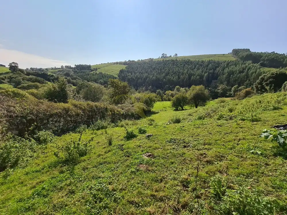 Casa o xalet en venda a Noriega, Ribadedeva