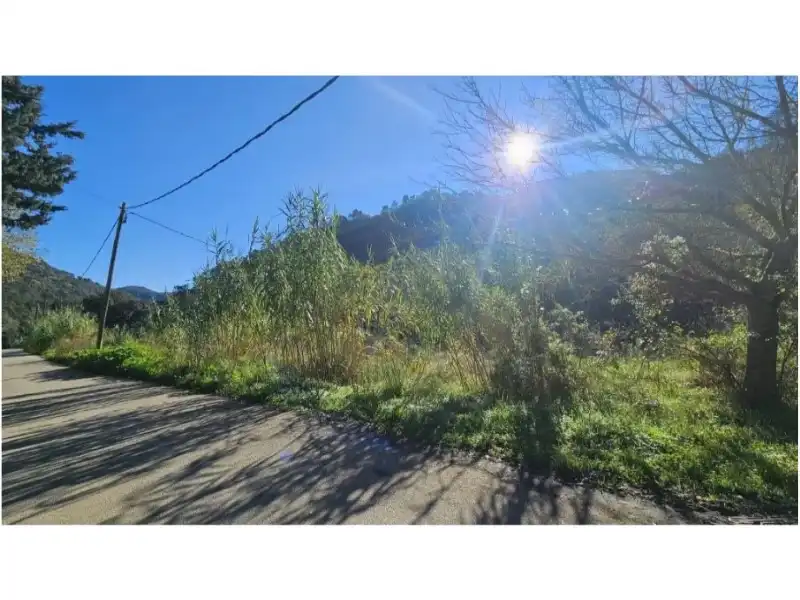 Maison rustique à vendre à Niàgara Parc - Àgora Parc, imagen 6