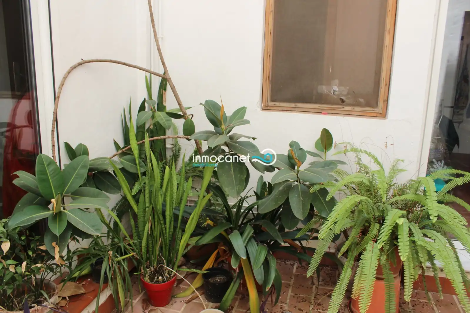Jardí de Apartament en venda en Oliva amb Traster