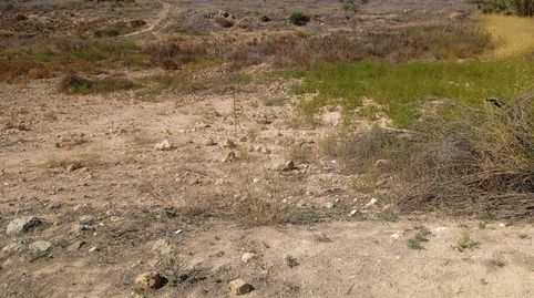 Foto 2 de Residencial en venta en Diseminado Purias, 863, Purias, Lorca