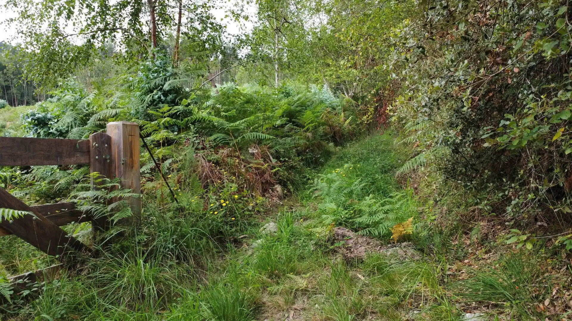 Terreno rustico in vendita a Pría - Nueva-Hontoria - Naves, imagen 24