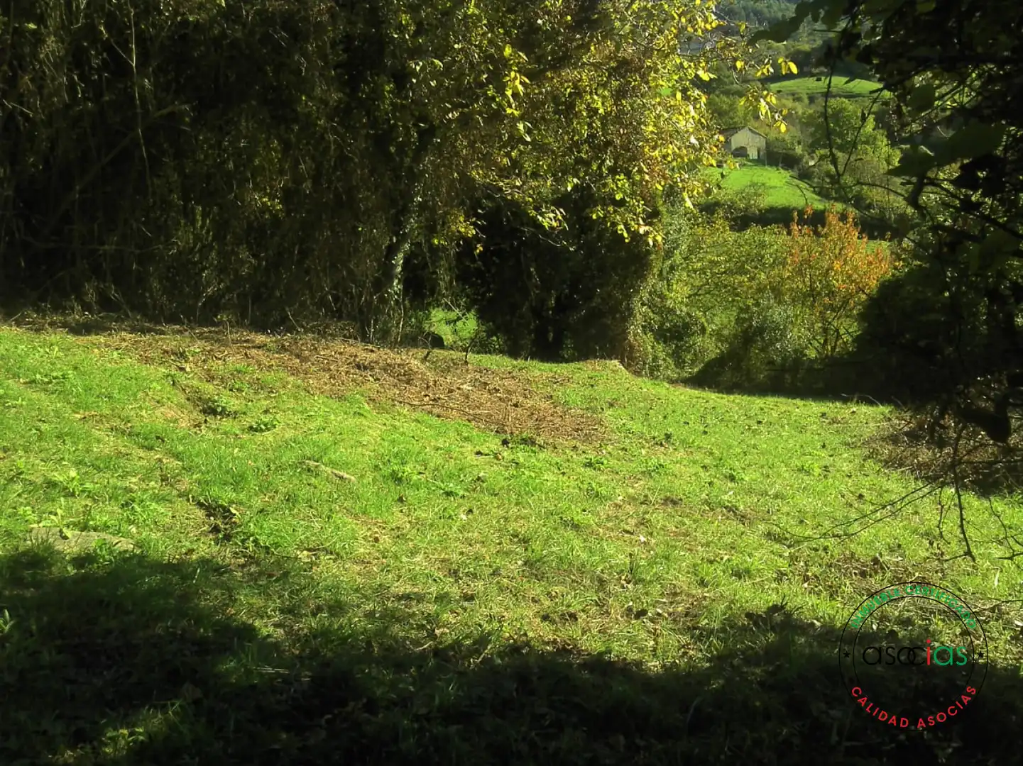 Terreno rustico in vendita a Gijón - BARRIO SAN PELAYO - CALDONES, imagen 10