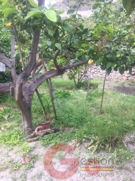 Inmuebles singulares en venta en Otívar, imagen 25