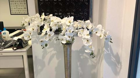 Photo 2 of Premises for sale in Port d'Andratx, Illes Balears