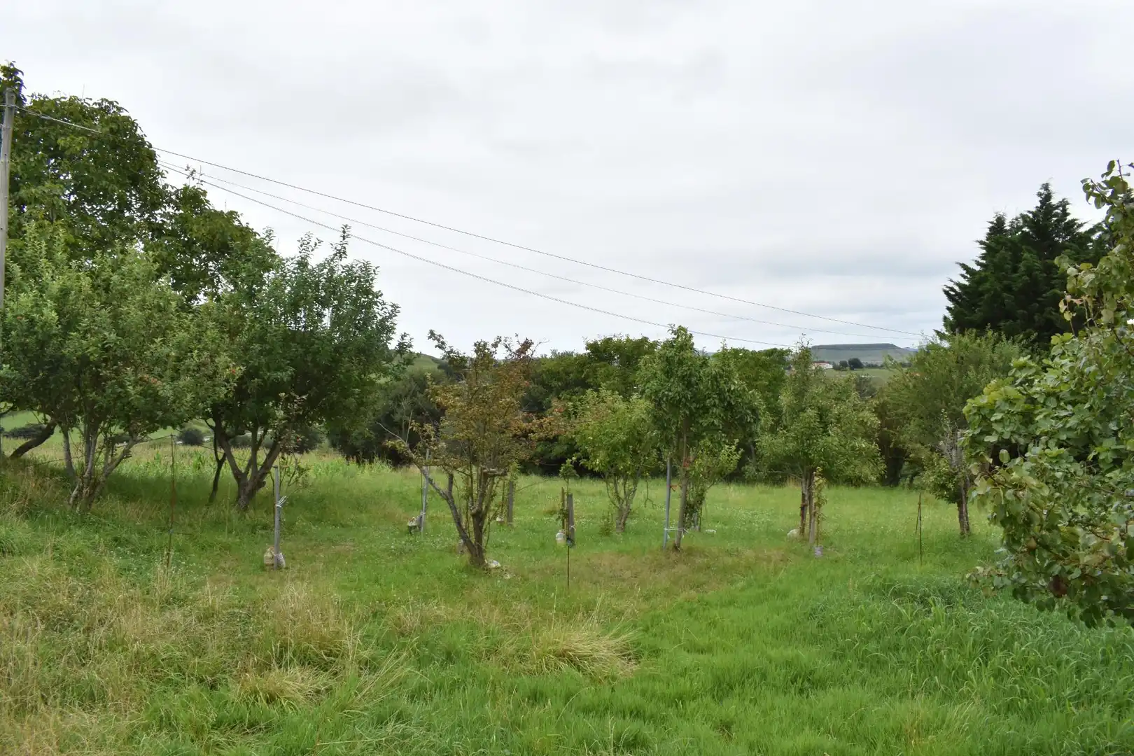 Terrenos y solares en venta en Santillana del Mar, imagen 14