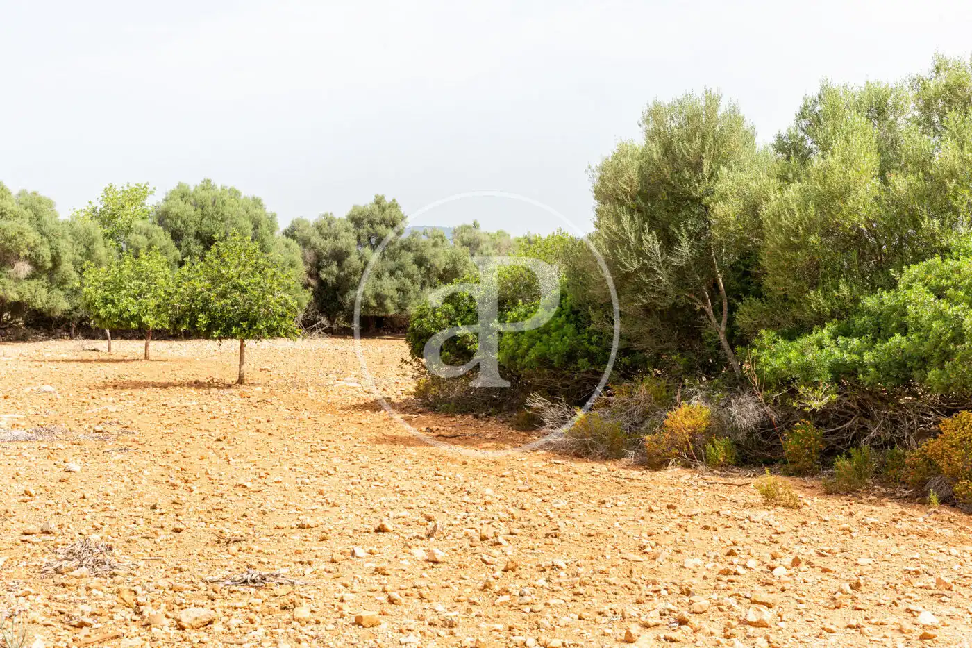 Residencial en venta en Manacor