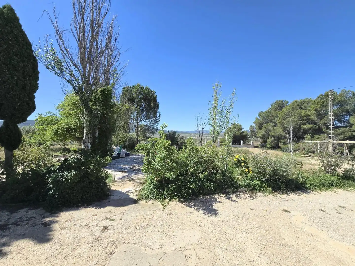 Casa amb piscina en venda a Salinas, imagen 15