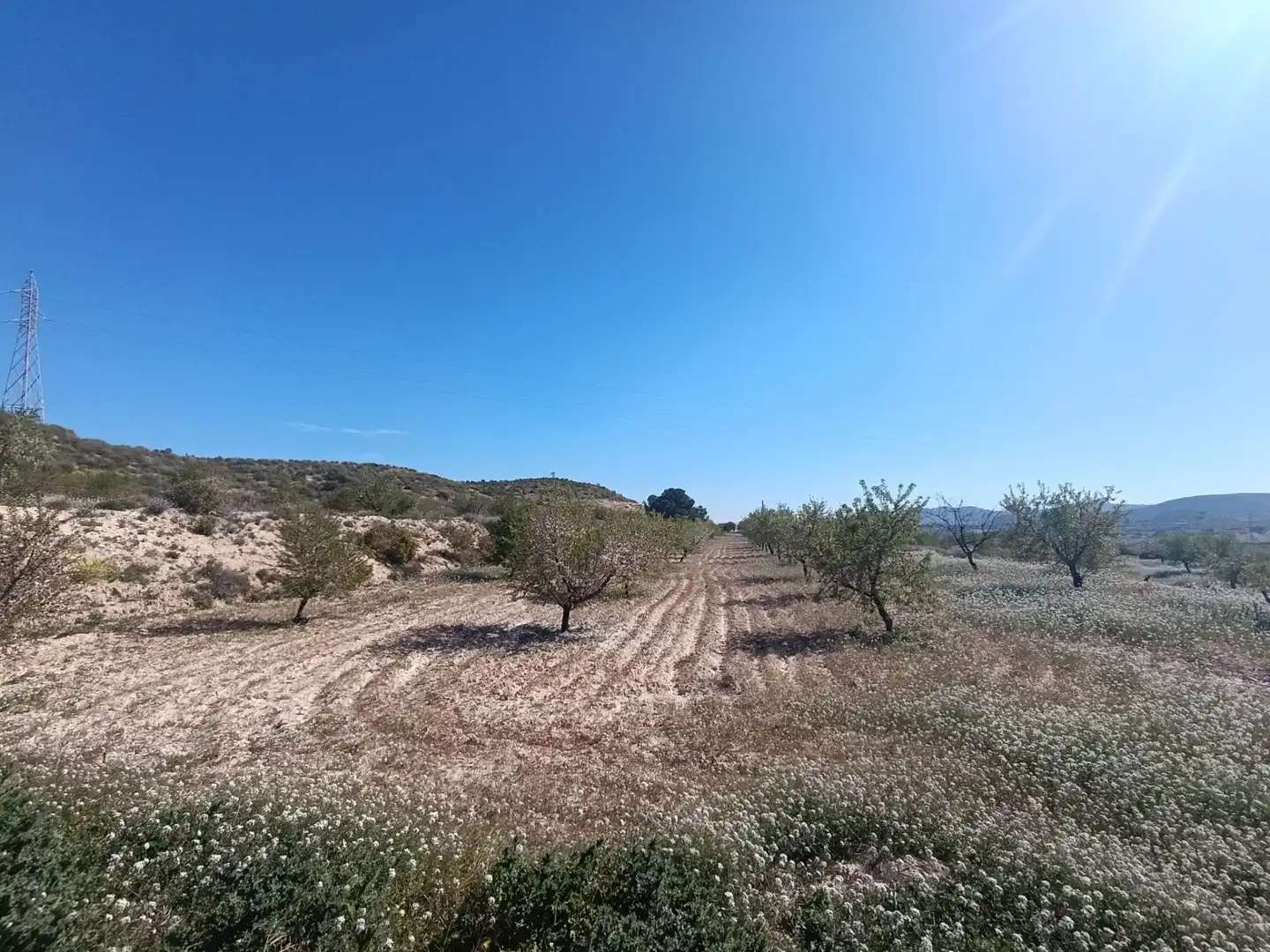 Terrenos y solares en venta en Pedanías Oeste, imagen 3