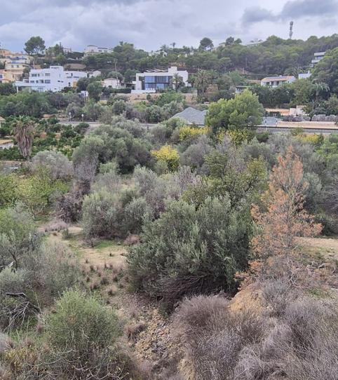 Foto 2 de Residencial en venta en L'Olla, Alicante