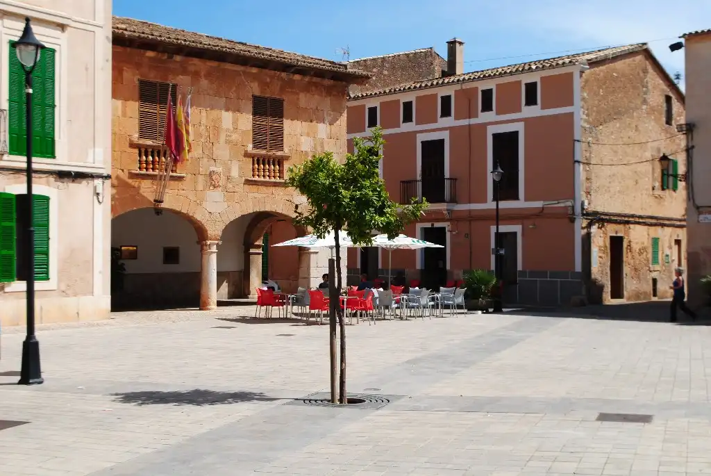Landhaus mit Terrasse zum Verkauf in Santa María del Camí, imagen 16