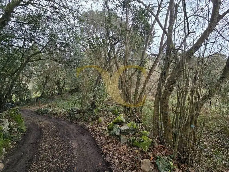 Terreno rustico in vendita a Balmori, imagen 18