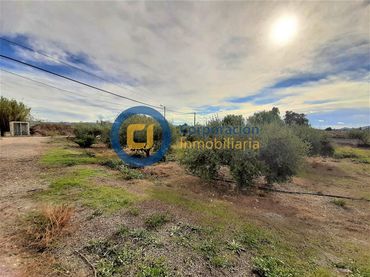Wohnbaugrundstück zum Verkauf in Pedanías Centro