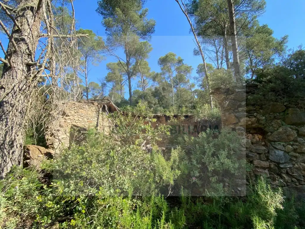 Land for sale in Pals